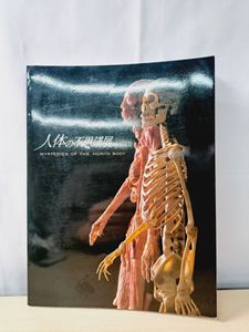 人体の不思議展の値段と価格推移は？｜6件の売買データから人体の