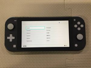 nintendo switch lite グレーの値段と価格推移は？｜242件の売買データ