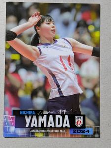 山田二千華の値段と価格推移は？｜49件の売買データから山田二千華の