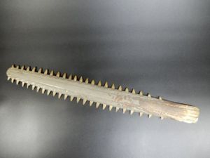 ノコギリエイの値段と価格推移は？｜5件の売買データからノコギリエイ