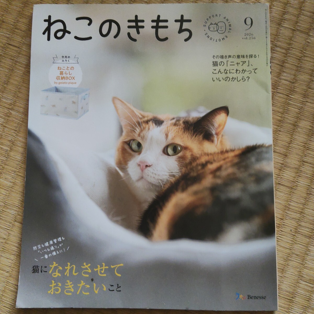 ねこのきもち付録の値段と価格推移は？｜2件の売買データからねこのき