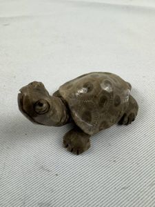 化石サンゴの値段と価格推移は？｜1件の売買データから化石サンゴの