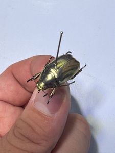 プラチナコガネの値段と価格推移は？｜12件の売買データからプラチナ