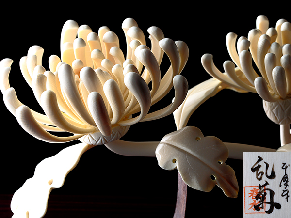 流】本象牙 小針春水作『乱菊』極上細密細工置物 極上品bj63△(東洋