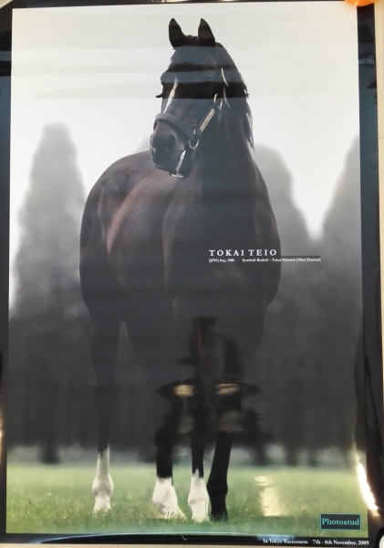 トウカイテイオー A1ポスター(594 × 841㎜) ケース付(競馬)｜売買され 