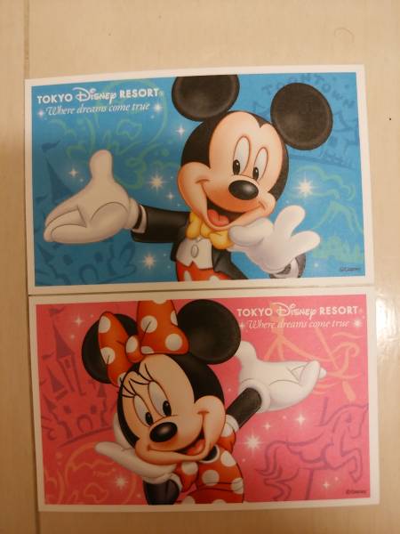 ★ディズニーチケット・２枚★混雑時もOK★6月末期限★送料無料