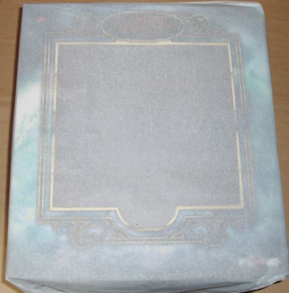 新品 フレア BAYONETTA ベヨネッタ FLARE 吉沢光正 (REFLECT)