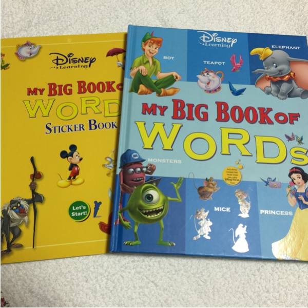 DWE ディズニー英語◆MY BIG BOOK OF WORDS マジックペン対応