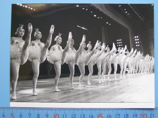 松竹歌劇団 SKD 東京踊り 1990 最終 生写真 11枚 スチール (K12)
