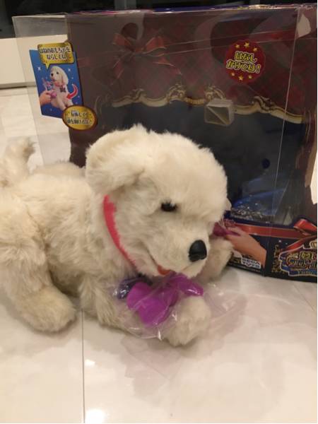 夢いぬ。箱付き。送料無料！