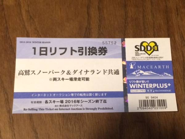 1日リフト券 高鷲スノーパーク＆ダイナランド 共通