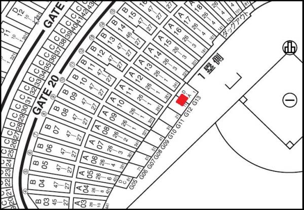 巨人vsヤクルト 2/28 エキサイトシート1塁側B～C列 通路側 2連番