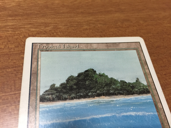 Tropical Island RV 英語 1枚 a ○ 【公式通販】