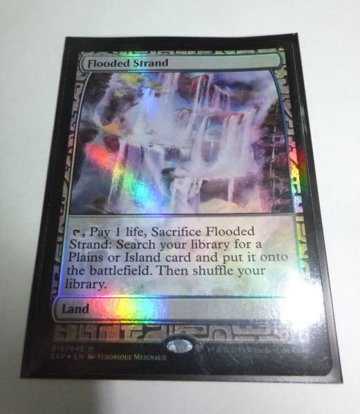 MTG/溢れかえる岸辺/Flooded Strand expedition foil おもちゃ、ゲーム