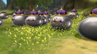 ドラクエ10　ドラゴンクエスト10　超導メタキン30枚　育成　個人