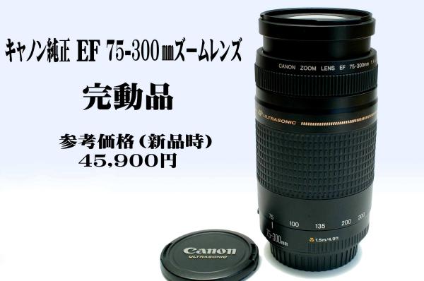 Canon キャノン EOS純正 75-300mm AF 望遠ズームレンズ 完動品