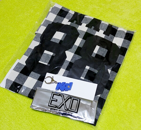 EXO チェックシャツ キーホルダー KAI カイ EX'ACT EXO 【公式通販】