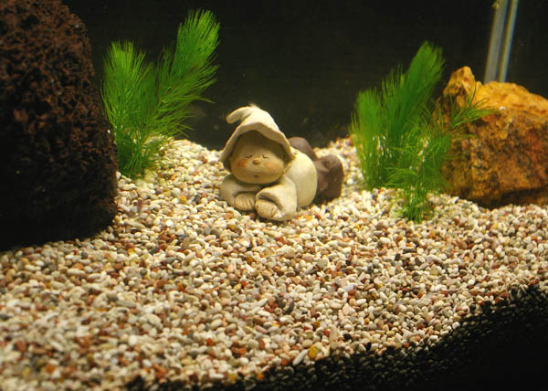 【ピュアストーン細目20kg3480円!】水槽/底砂/観賞魚/水草