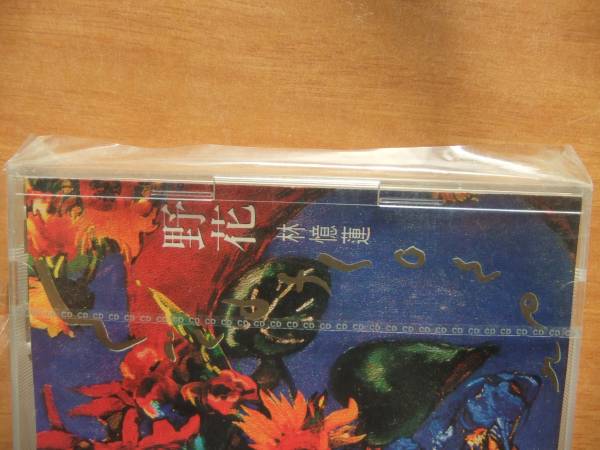 帯付き新品 サンディ・ラム（林憶蓮） ワイルドフラワー（野花） 帯