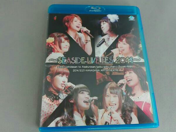 SEASIDE LIVE FES 2014(Blu-ray Disc)