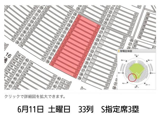 ☆　6/11　ソフトバンク×巨人　S指定席　3塁側　2枚　☆