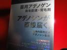 新品激安￥1～　薬用アデノゲン　150ｍｌ　発毛促進剤　切手可