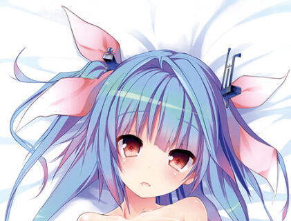 艦隊これくしょん アダルト 抱き枕カバー 2WAY 160*50 HF06