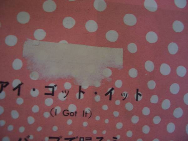 ビニール・カバー／ジーン・ヴィンセント／アイ・ゴット・イット