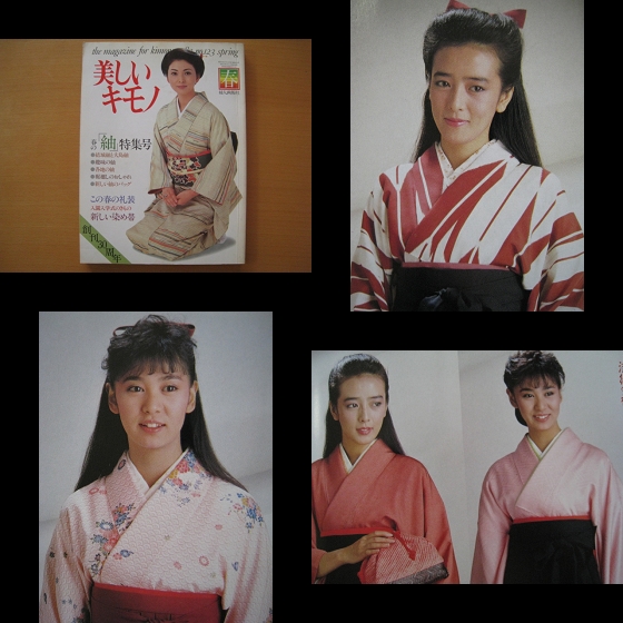 結城紬 (シリーズ染織風土記) /坂入了/中江克己/泰流社/昭和57年/着物