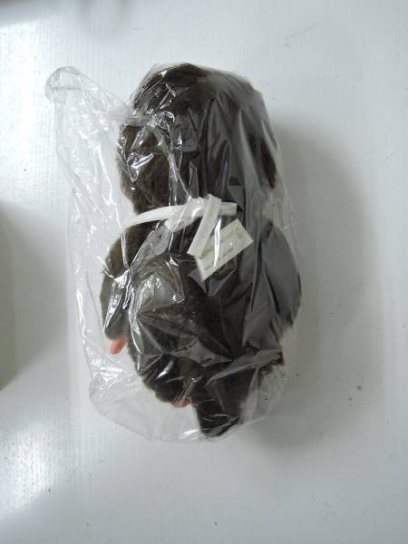 昭和 くたくたシリーズ ふた子のモンチッチA 未使用品 114T2286