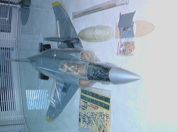 絶版希少品HET－F4Phantom 70mmツインEDF残僅かARF F－4