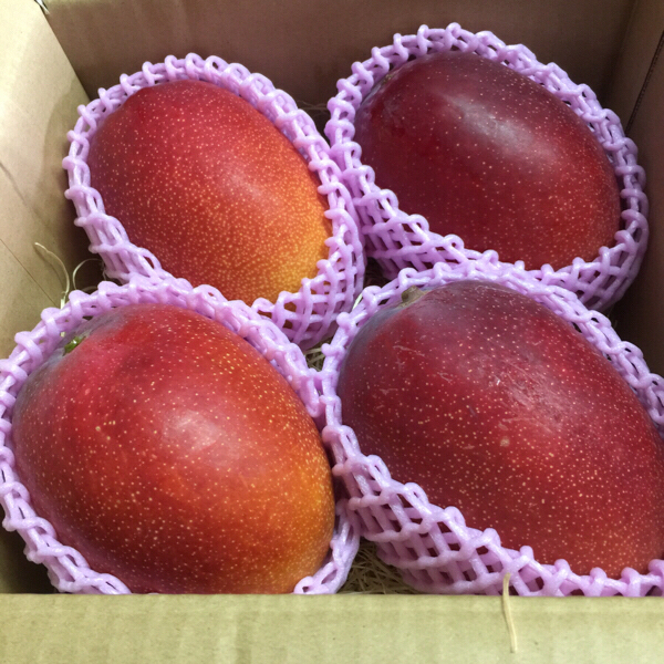 超大玉4L4個入 鹿児島完熟マンゴー お中元対応可 消費税不要