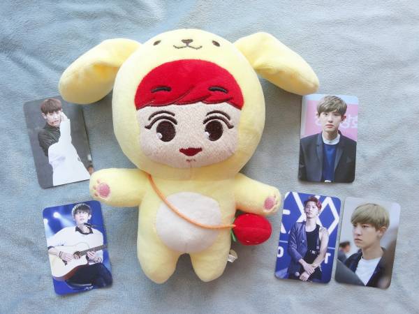 EXO★チャニョル ぬいぐるみ 「モンチャニ」 FULL SET ★本物