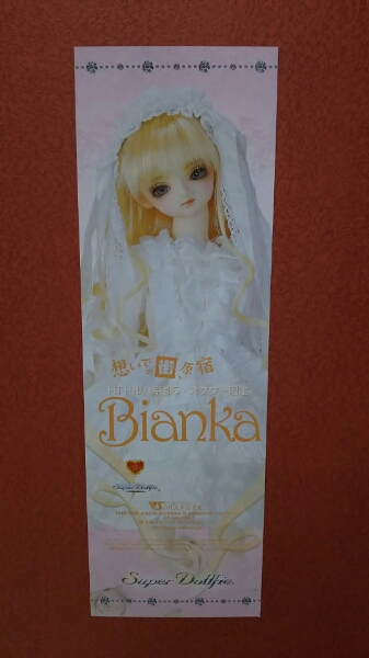 SDボークス/ビアンカBianka/HTドルパ京都5・アフター限定
