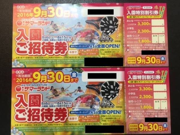 東京サマーランドプール付き入園招待券ペア　送料無料