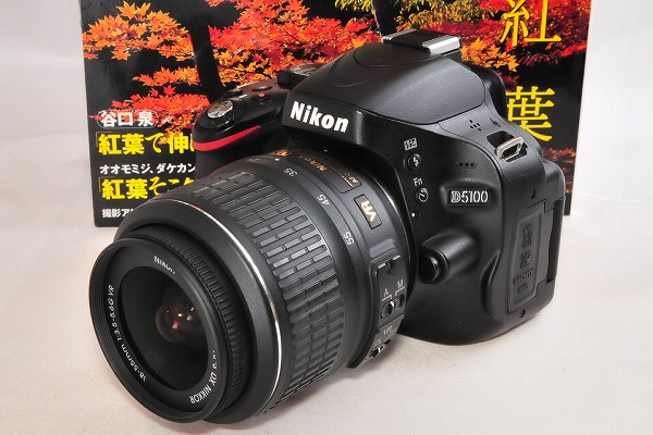 ☆S数小！超極上☆ニコン Nikon D5100 Wi-Fi＆自撮り♪♪ ニコン
