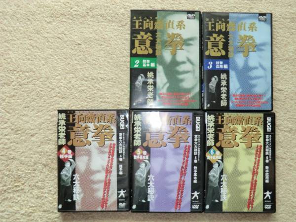 意拳 六大秘訣 第1巻「站椿」 | DVD | 武道・武術の