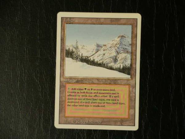 ☆MTG英語版・リバイズド・Taiga！ Taiga | Collectors Ed 【公式通販】