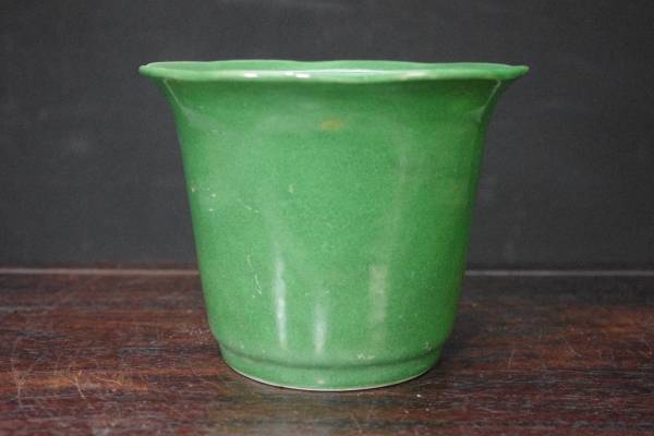 ★盆栽日和★　南京　椿窯外縁丸鉢　間口14㎝