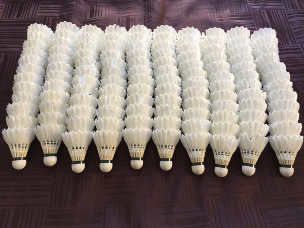 中古ノックシャトル ヨネックス ニューオフィシャル120球