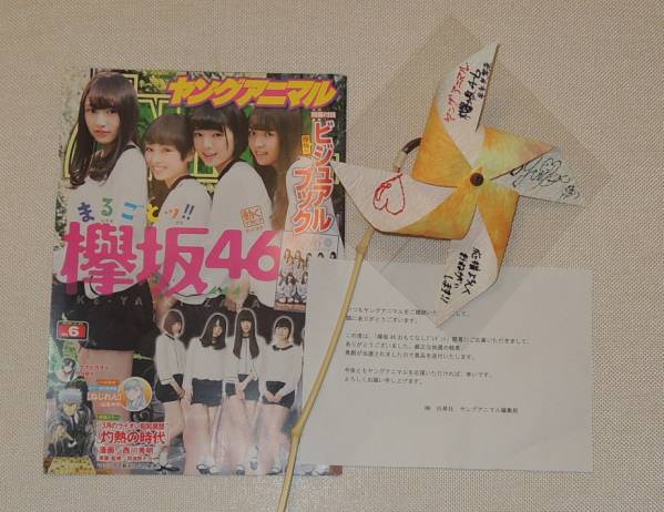 欅坂46☆平手友梨奈 直筆サイン風車☆当選通知書付き タレントグッズ