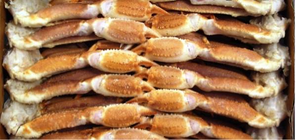 b【送料無料】 生冷ズワイガニ３Ｌ５ｋｇ身入り抜群 太い！