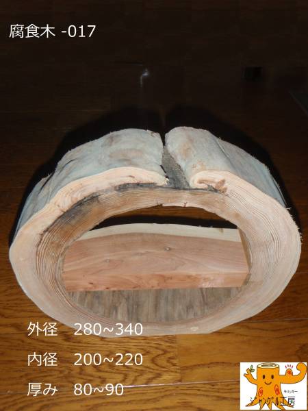 s524845849.1
