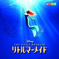 1/27(金) 劇団四季 リトルマーメイド S1席 13列 18時30分開演_1