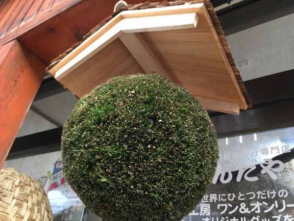 送料無料】杉玉 (屋根付き)【酒林】②