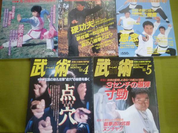 本 中国武術 雑誌 11冊セット