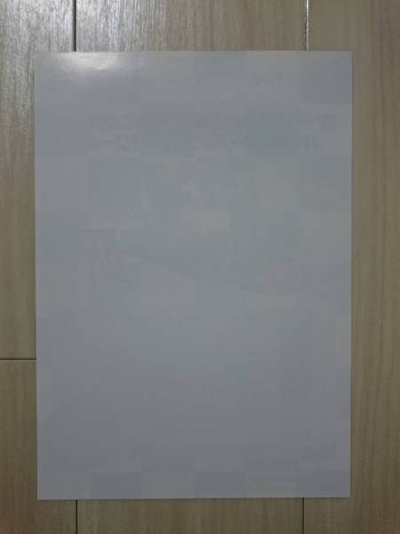 F1グランプリ 　Part Ⅱ　 F-1 GRAND PRIX PartⅡ　　 ビデオシステム 　チラシ_2