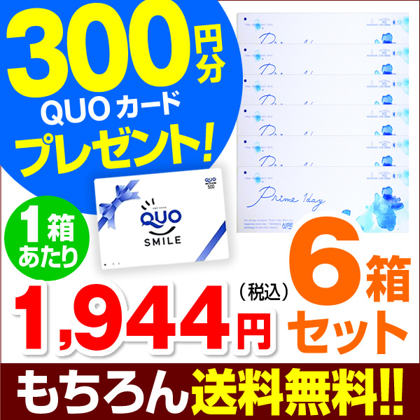 k243661569.1