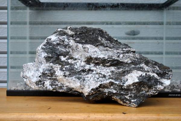 ★親石にアクアリウム大型水槽に清流石/水槽石/◎川魚レイアウト 熱帯魚 石 水草 ADA 龍王石めだか　霜降り石