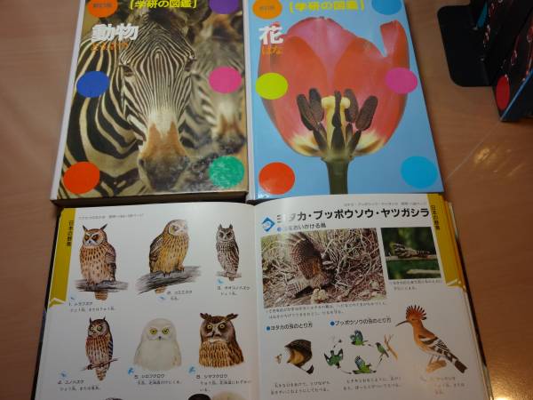 □　学研 図鑑 21冊セット 中古　□